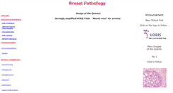 Desktop Screenshot of breastpathology.info