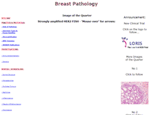 Tablet Screenshot of breastpathology.info